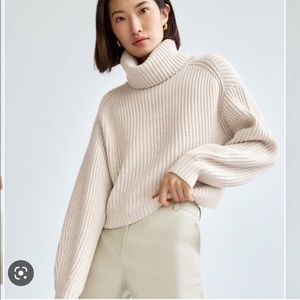 Aritzia Babaton Guell Sweater Cropped Turtleneck in Pearl